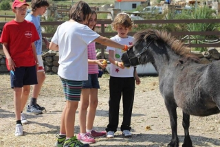 Cuidando del poni